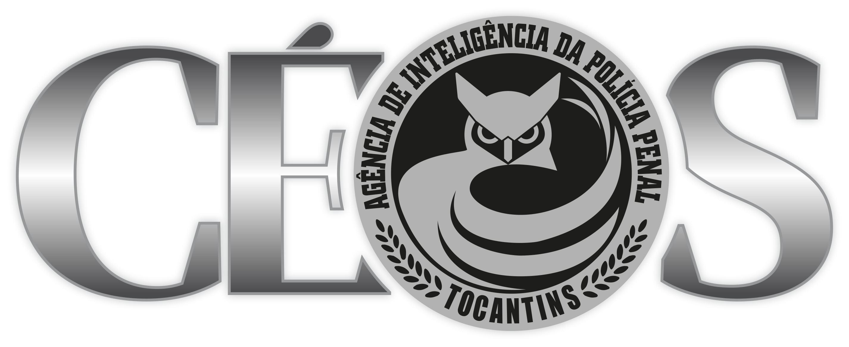 Logo corujas